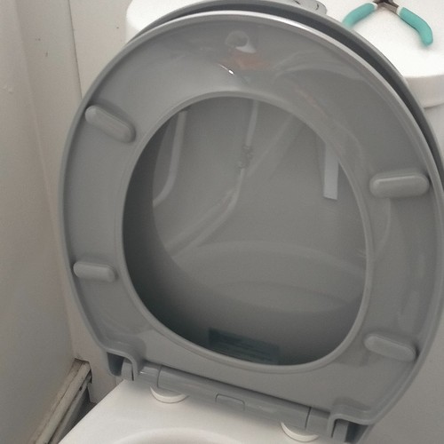 Pipishell soft close toilet - soft,