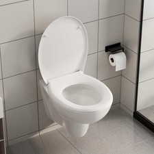 Pipishell Soft Close Toilet
