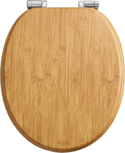 O‑Shaped Wooden Toilet??