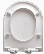 Pipishell - Oval Shaped Soft