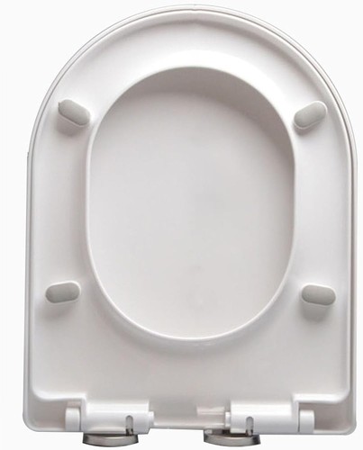 Pipishell oval shaped soft - pipishell,